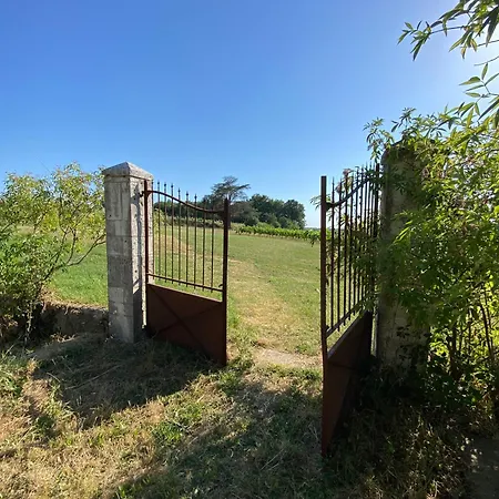 Domaine Les Olivoux
