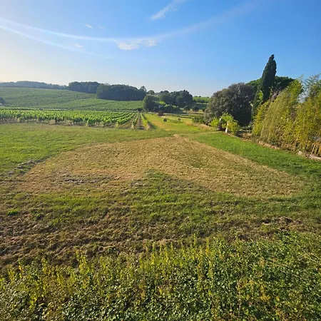 Domaine Les Olivoux